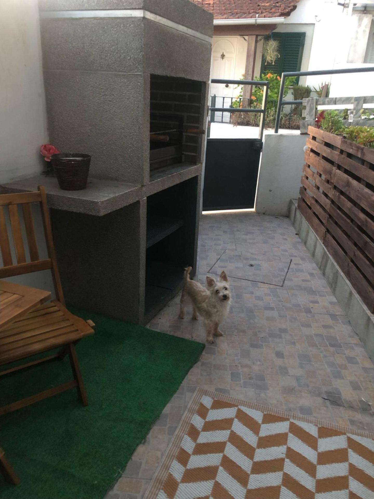 Cantinho Da Susana Coimbra Ngoại thất bức ảnh